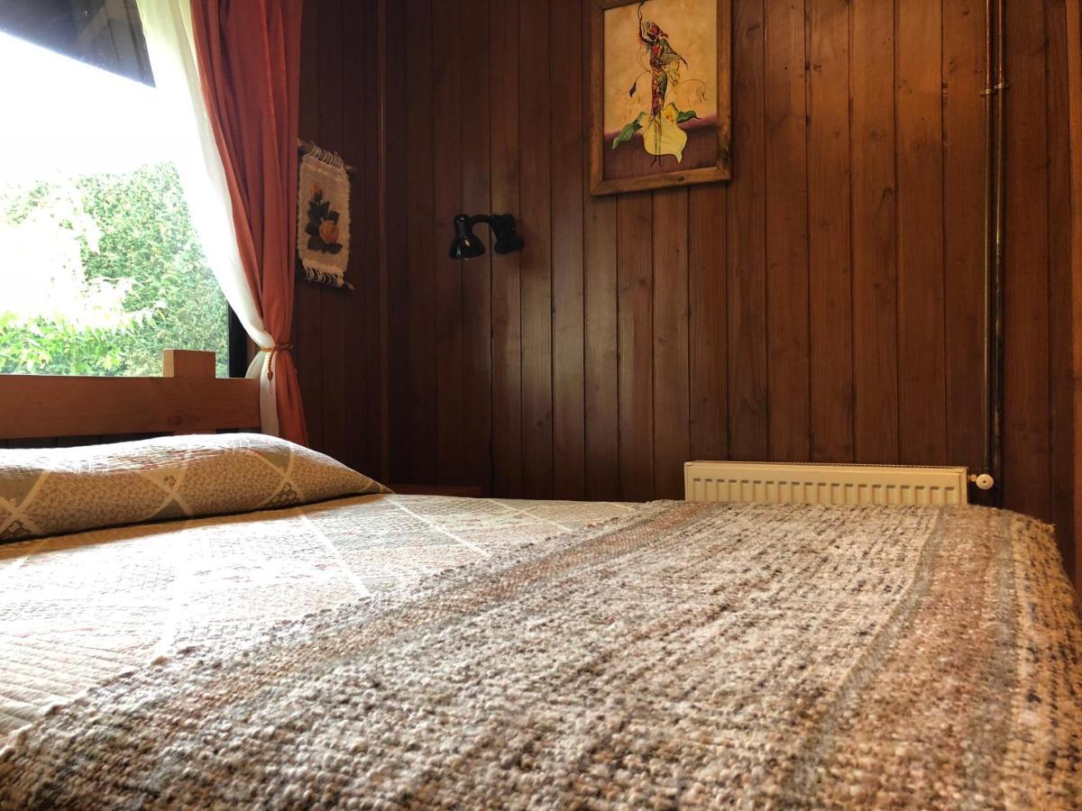 Hostal El Nogal Pucón Dış mekan fotoğraf