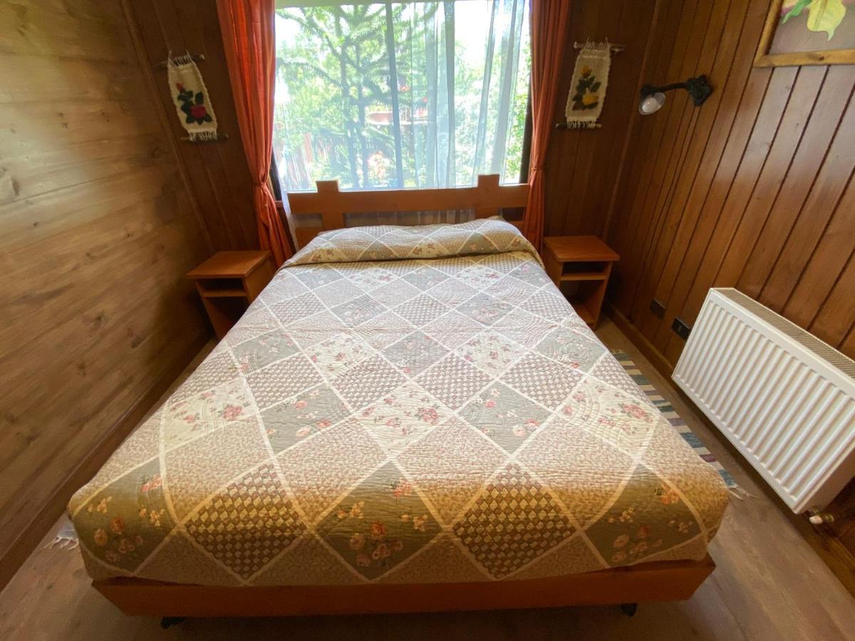 Hostal El Nogal Pucón Dış mekan fotoğraf
