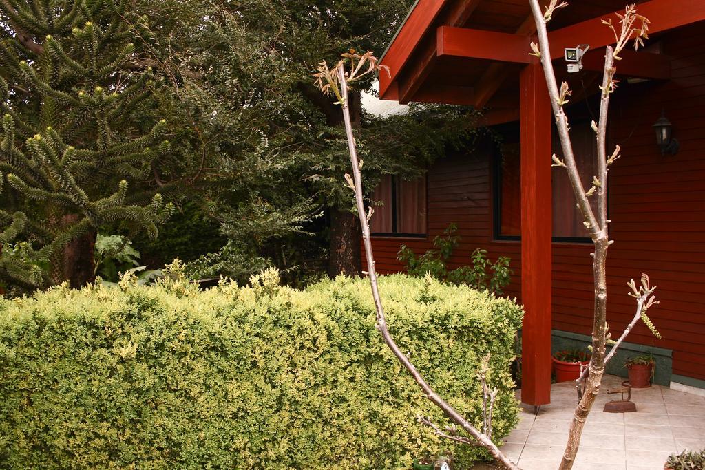 Hostal El Nogal Pucón Dış mekan fotoğraf