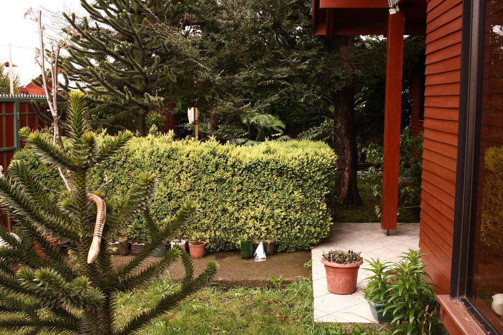 Hostal El Nogal Pucón Dış mekan fotoğraf